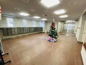 �G���g�����X�@���G���g�����X�����͂������ꂢ�ɐ��|����Ă���܂��̂ŊǗ��̐����ǍD�ł���G�߂ɂ��Ƃɂ�����Ƃ�������t������