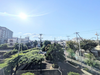 �Z�˂���̒��]�ʐ^�@������őO�ʂɌ���������܂���̂ň�������邢�ł����