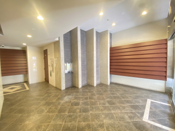 �G���g�����X�@-